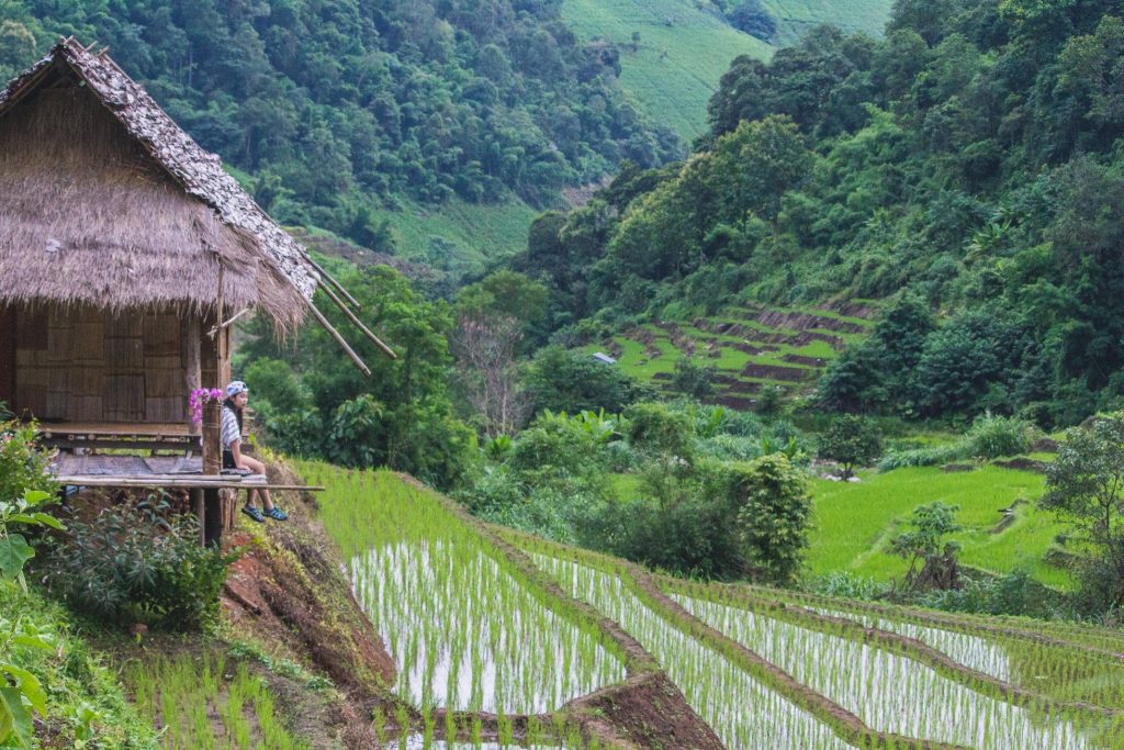 โฮมสเตย์