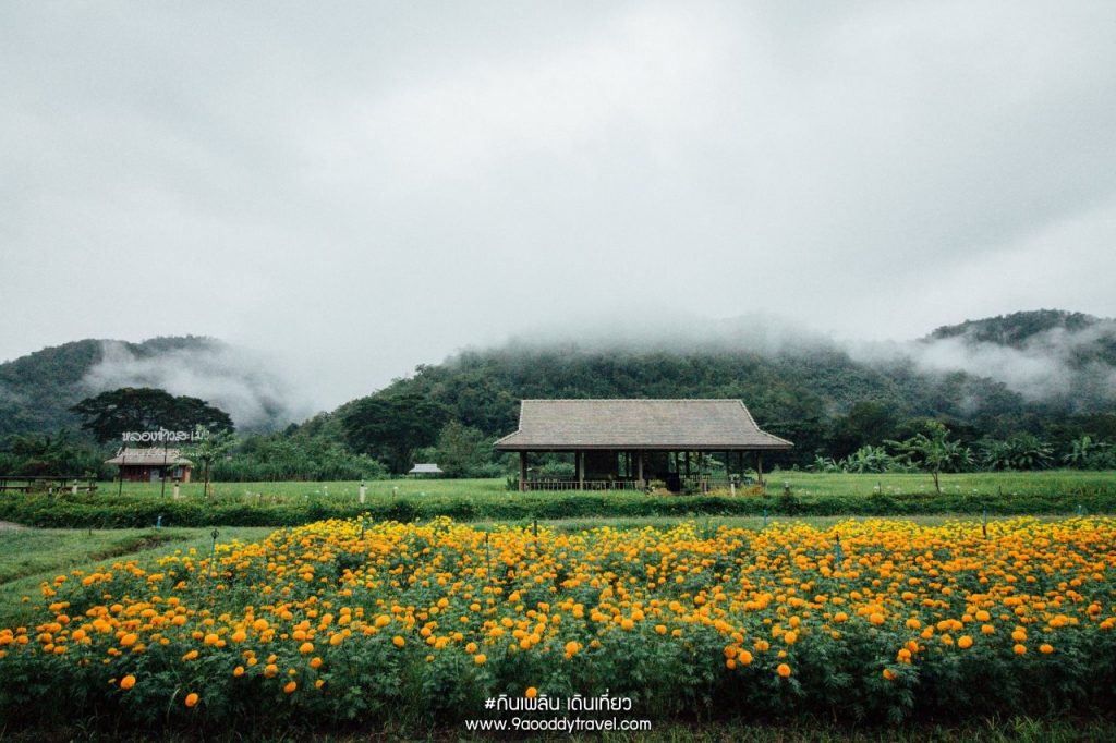 โฮมสเตย์