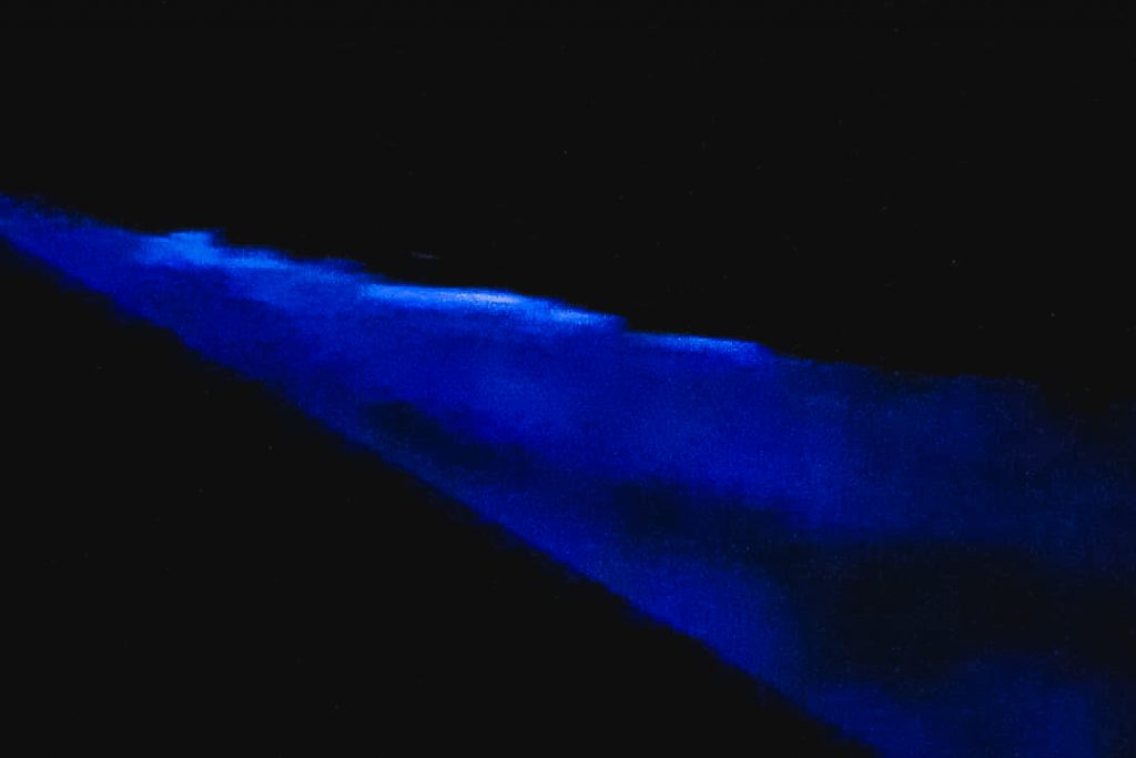 แดนโดมโฮมสเตย์