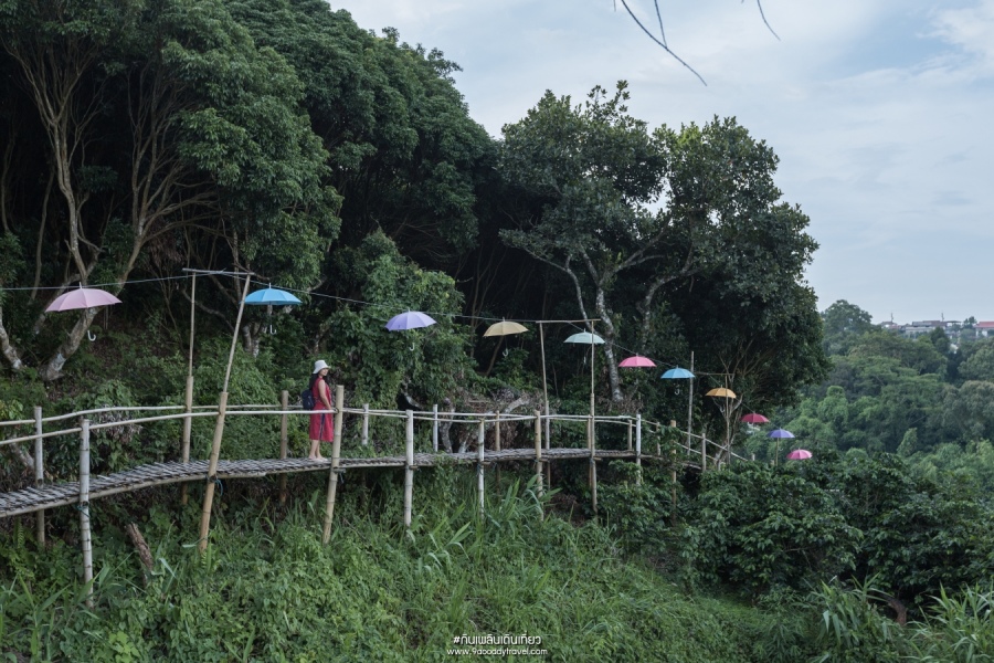 สะพานไม้ไผ่ไร่ผาฮี้