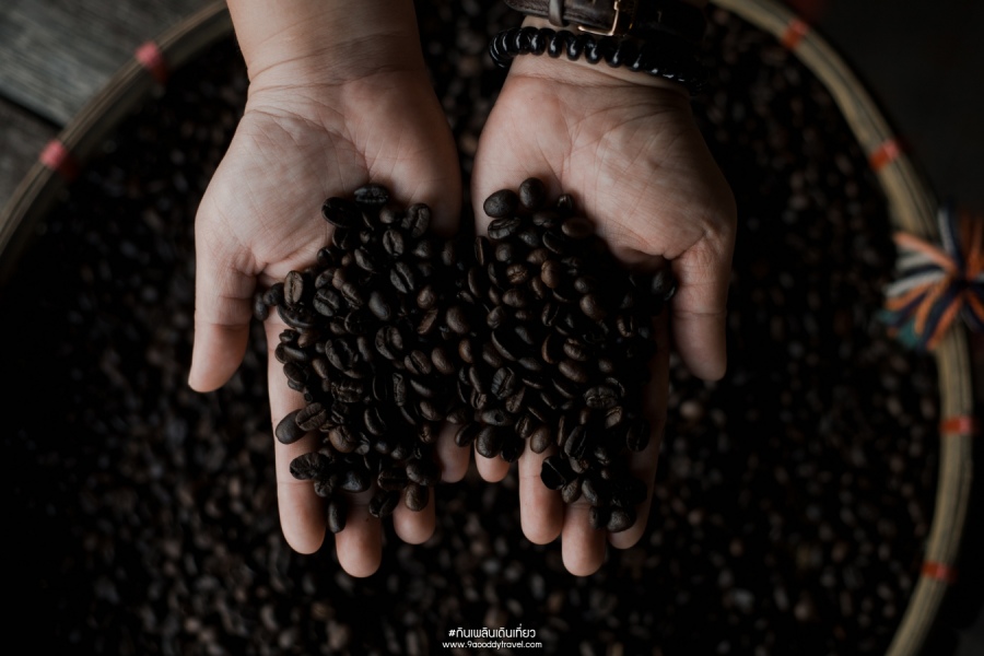 ดอยผาฮี้