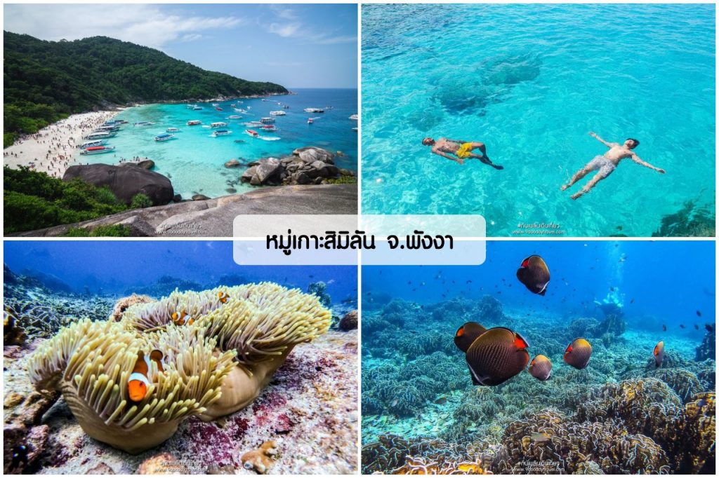 ทะเลไทย