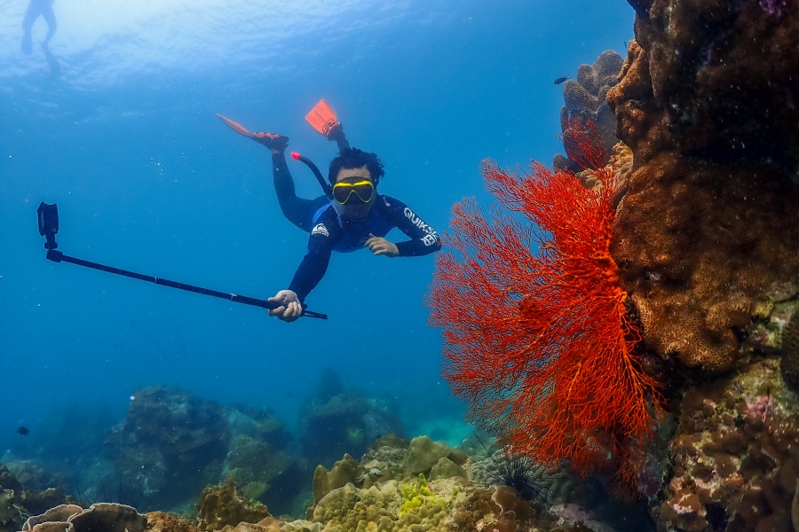 ดำน้ำแสมสาร