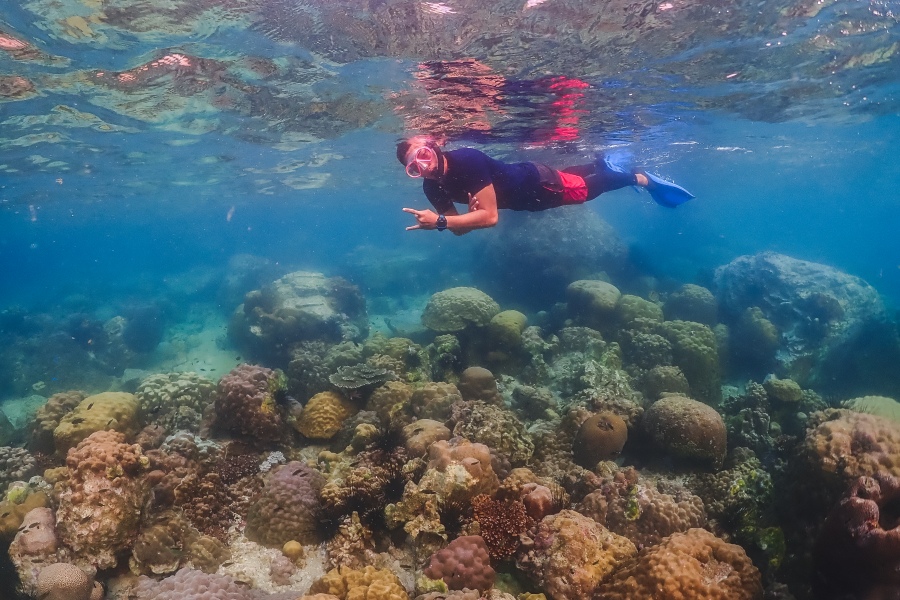 ดำน้ำพัทยา