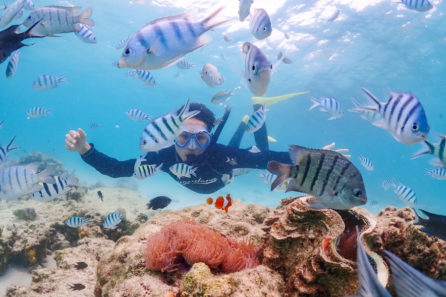 ดำน้ำแสมสาร