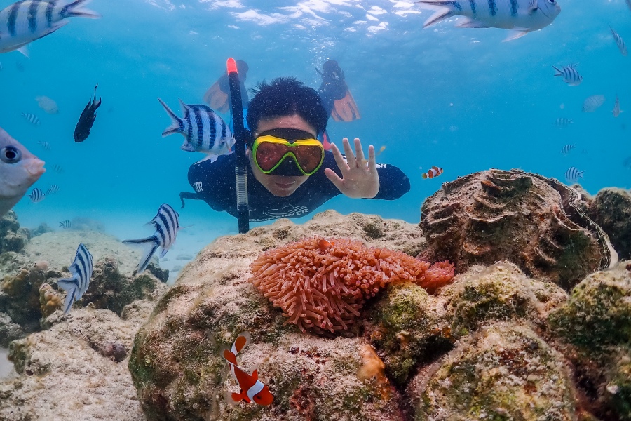 ดำน้ำแสมสาร