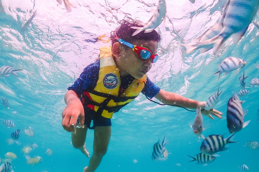 ดำน้ำแสมสาร