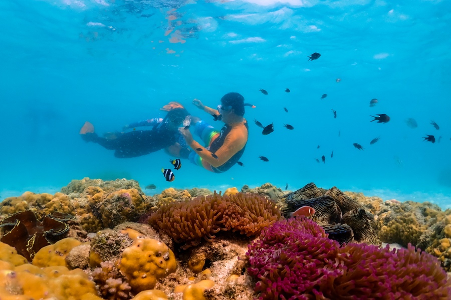 ดำน้ำแสมสาร