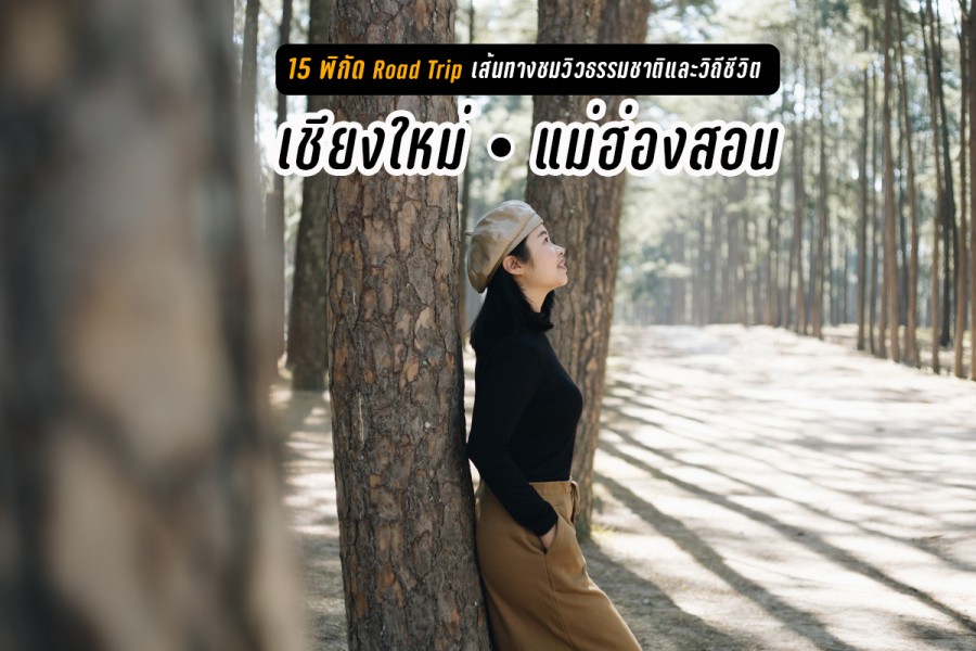 15 พิกัด Road Trip เชียงใหม่ – แม่ฮ่องสอน เที่ยวเส้นทางธรรมชาติ